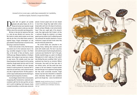 Lustrous Mystique: Decoding the Intricacies of Occult Mushrooms in Gardens